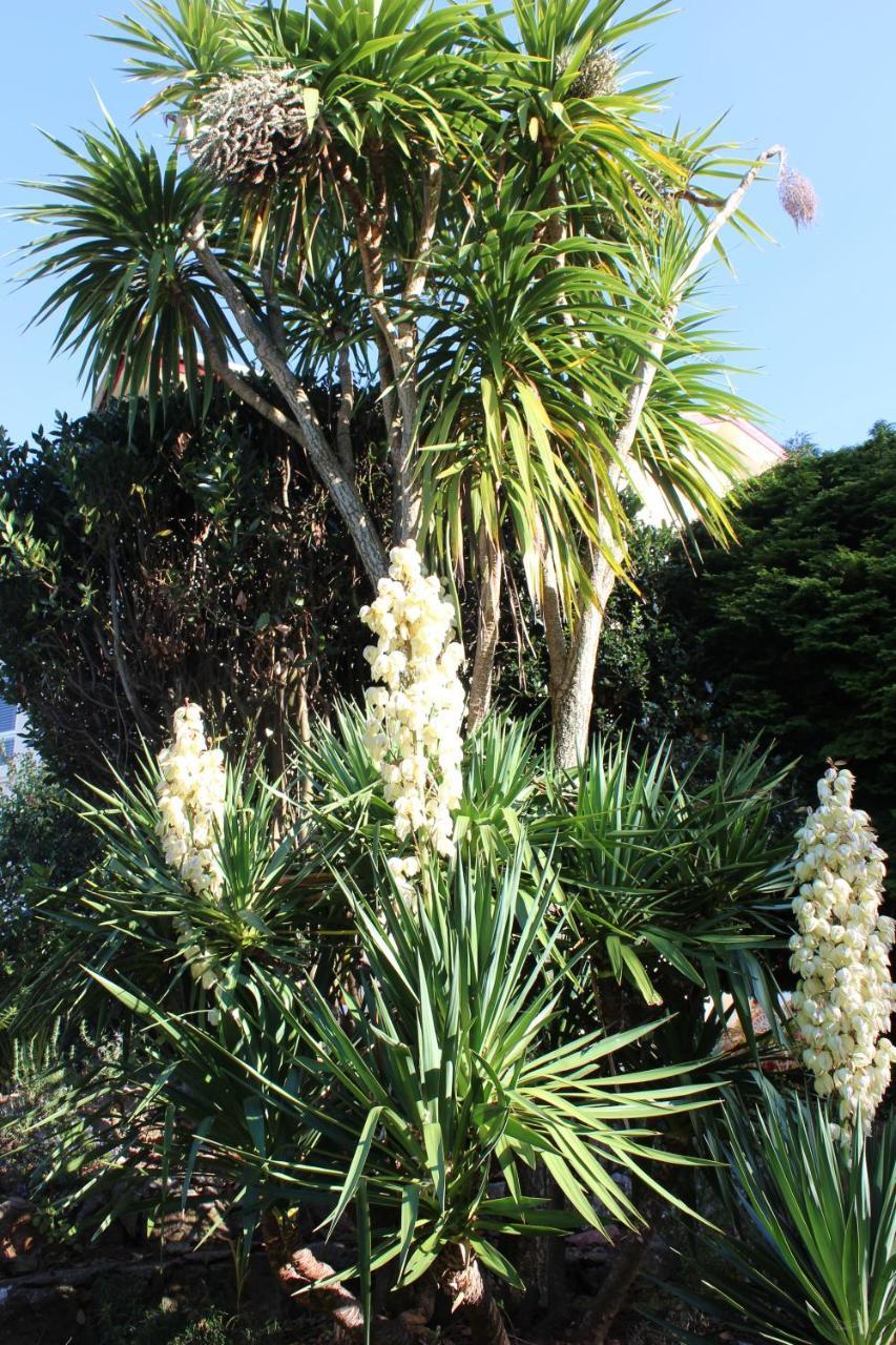 Trafalgar House Torquay Bagian luar foto